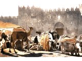 A caravan unloading stores by the Damascus Gate. An early photograph.